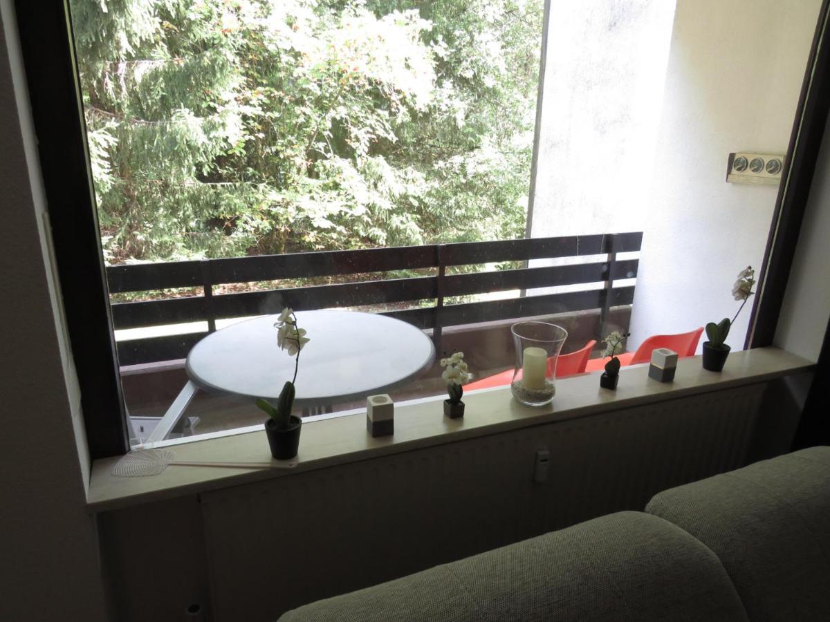 Ferienwohnung Am Golfplatz 빈터베르크 외부 사진